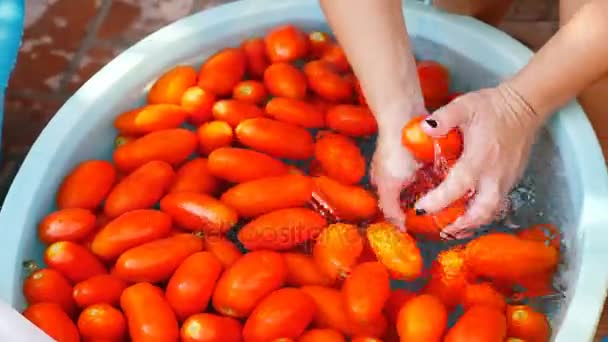 Женские руки, моющие помидоры — стоковое видео