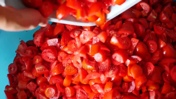 Preparazione salsa di pomodoro tradizionale — Video Stock