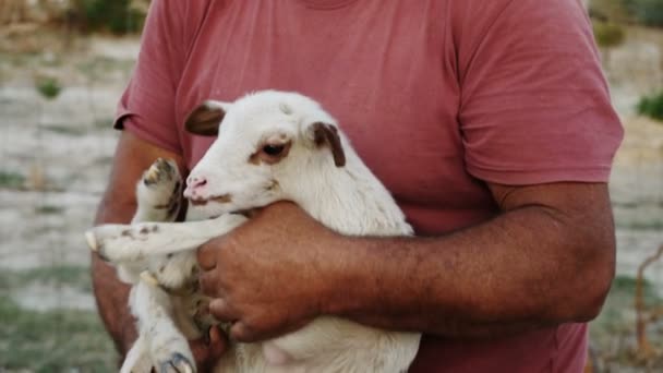 Shepherd cuddles his lamb — Stock Video