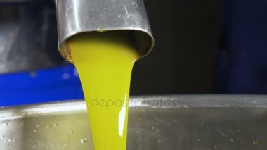 taze sıkılmış petrol akan-zeytin yağı fabrikası