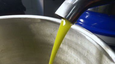 Güney İtalya - zeytin yağı akan içinde zeytinyağı fabrikası