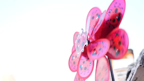 Roze Pinwheel Bochten Uit Wind — Stockvideo