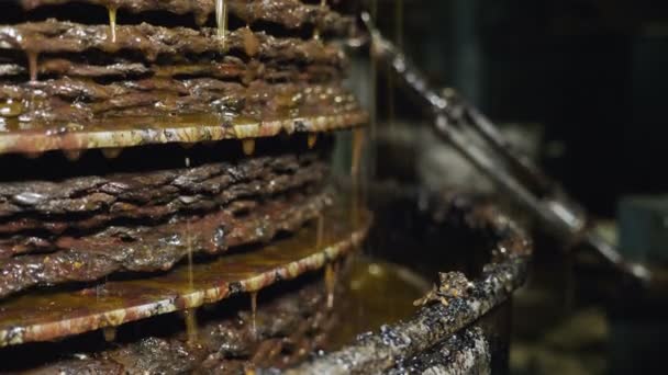 压榨橄榄橄榄油磨房 意大利的南部 — 图库视频影像