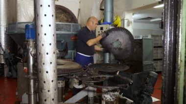 Güney İtalya zeytinyağı fabrikasında çalışan adam