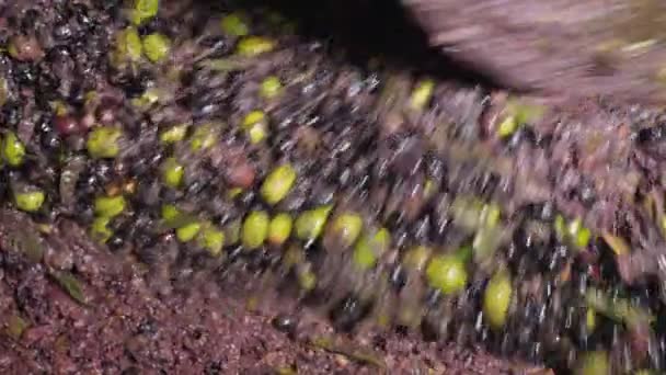 Pressa Spremitura Olio Oliva Frantoio — Video Stock