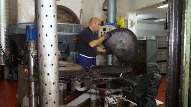 南イタリアのオリーブ オイル製造所ではたらく人 — ストック動画