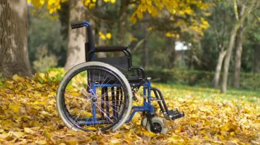 terk edilmiş boş tekerlekli sandalye bir parkta: terk edilmesi, melankoli, üzüntü