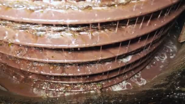 Производство Оливкового Масла Оливкового Масла — стоковое видео
