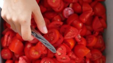 eller kadın kesme domates. Ev yapımı'nın salça Güney İtalya