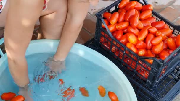 Του Homemamde Κοκκινιστό Γυναίκα Πλύσιμο Ντομάτες — Αρχείο Βίντεο