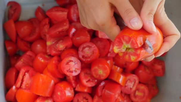 Zelfgemaakte Tomatensaus Zuid Italië Vrouw Handen Snijden Van Tomaten — Stockvideo