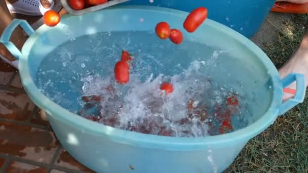 Tomates Caindo Água Produção Molho Tomate Caseiro Italiano — Vídeo de Stock