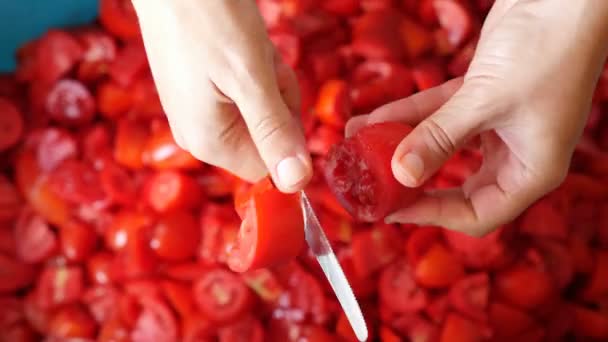 Mani Della Donna Tagliano Pomodori Salsa Pomodoro Fatta Casa Nel — Video Stock