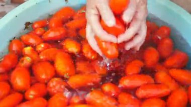 eller kadın domates ev yapımı domates sosu yıkama 