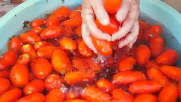 Vrouw Handen Wassen Tomaten Huisgemaakte Tomatensaus — Stockvideo