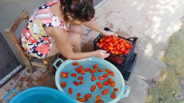 Italiaanse Vrouw Wassen Van Tomaten Making Tomatensaus Zuid Italië — Stockvideo