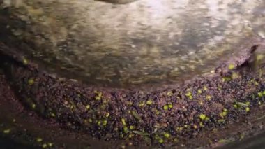  Zeytin zeytinyağı fabrikası çalışma - Güney İtalya basın