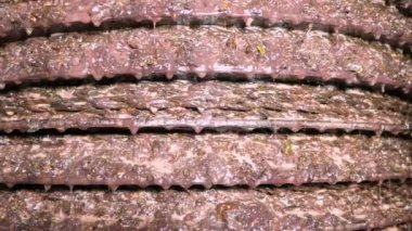  Zeytin zeytinyağı fabrikası çalışma - Güney İtalya basın