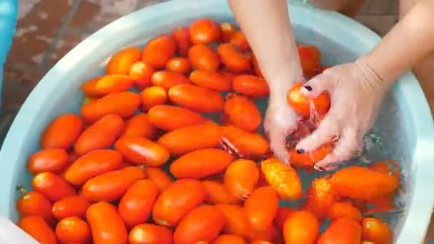 Corte Tomates Salsa Tradicional Italiana Sur Italia — Vídeos de Stock