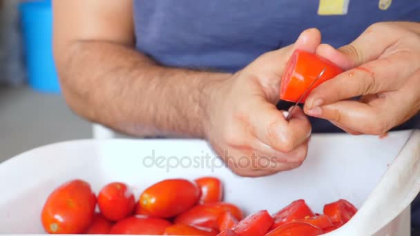 Mão Homem Cortando Tomates Frescos Sul Itália — Vídeo de Stock