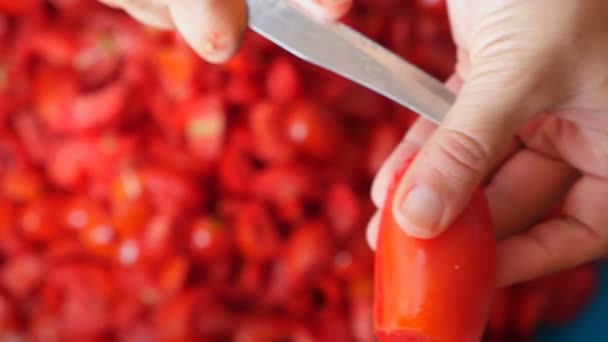 Cortar Los Tomates Trozos Preparación Salsa Tomate — Vídeo de stock