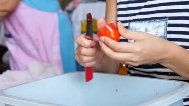 Vrouw Handen Snijden Tomaten Voorbereiding Van Tomatensaus — Stockvideo