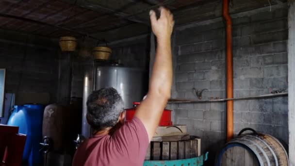 Boer Indrukken Van Druiven Making Huisgemaakte Wijn Zuid Italië — Stockvideo