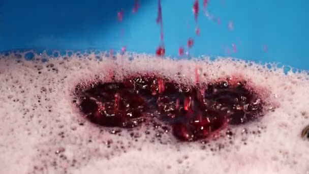 Homemade Wine Production Wine Flowing — Stock Video