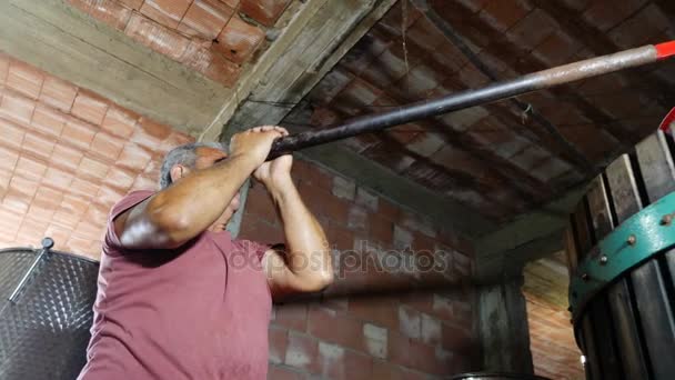 Making Homemade Wine South Italy Farmer Pressing Grapes — Stock Video