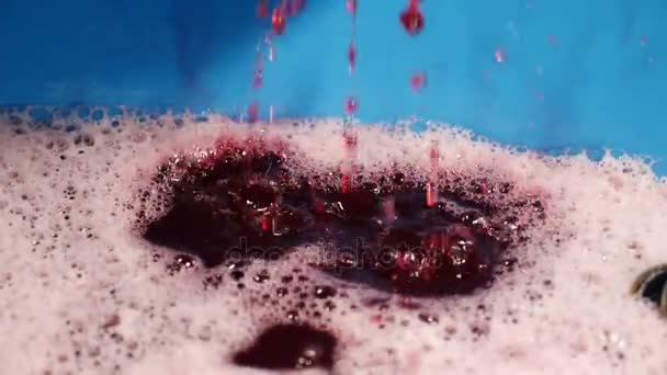 Fresh Wine Flowing Close — Stock Video