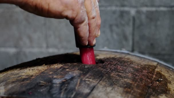 Pouring Wine Barrel South Italy — Stock Video