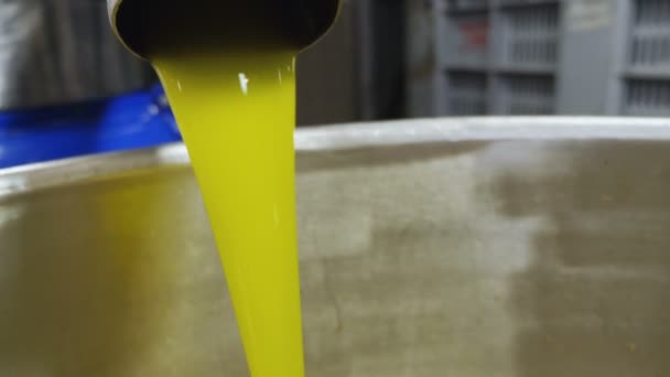 Close Olive Oil Flowing Olive Oil Production — Stock Video