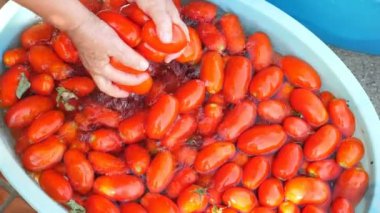 kadının çamaşır taze domates-yavaş hareket eller