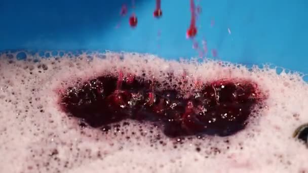 Italian Homemade Wine Production Wine Flowing — Stock Video