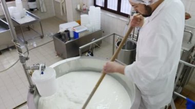 Peynir fabrikası. Yeni peynir üreten 