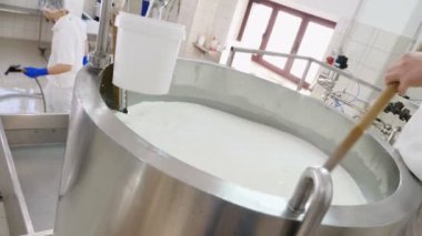 Peynir fabrikası Peynirci'ye hareketli Fermenting süt