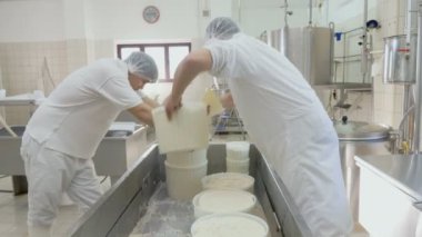 Peynir fabrikasında çalışmaya peynir üreticileri