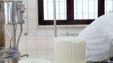 Peynir peynir fabrikası çalışma günlüğü adam