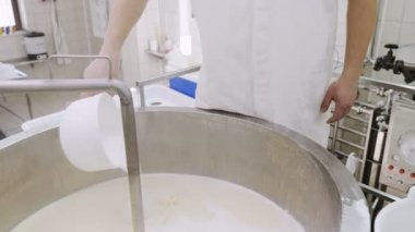 Bir günlüğü peynir fabrikasında ricotta peynir yapma