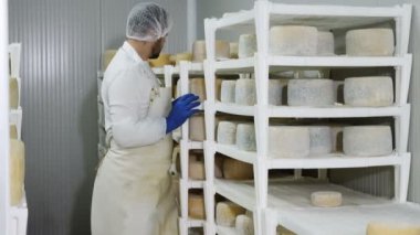 terbiyeli-peynir üretimi için peynir operatör sistemi portresi oluşturur