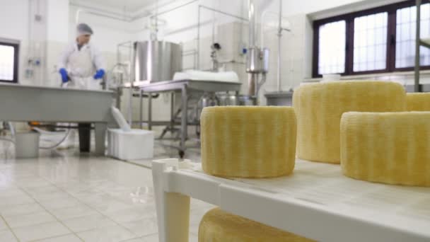 Fábrica Cheese Fazendo Ricota Temperada — Vídeo de Stock