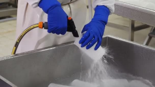 Production Fromage Lavage Des Moules Ricotta — Video