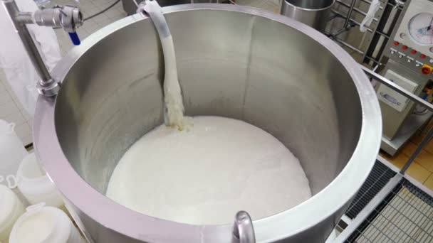 乳酪生产 乳酪工厂 转移新鲜的乳酪 — 图库视频影像