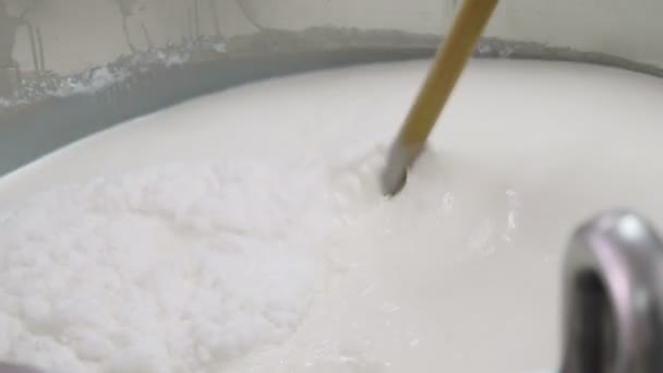 Ricotta Cheeese Production Mixing Milk — Stock Video