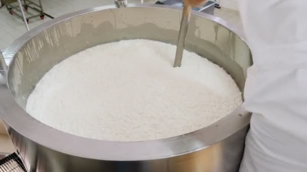 Fazendo Queijo Fábrica Laticínios — Vídeo de Stock