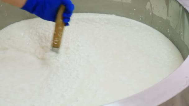 Maken Van Ricotta Kaas Diary Kaasfabriek — Stockvideo