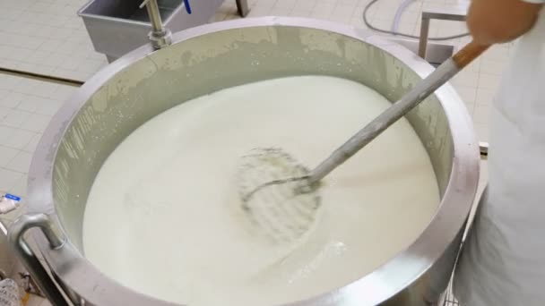 Käsetagebuch Fabrik Mischen Von Milch — Stockvideo