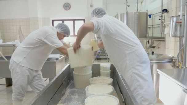 奶酪制造商在奶酪厂工作 — 图库视频影像