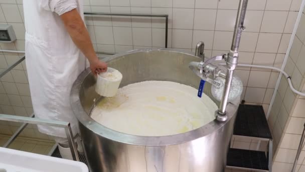 日記工場でチーズを作る — ストック動画