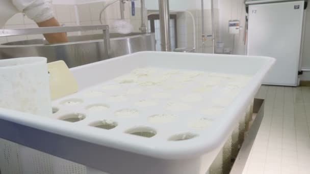 Maken Van Ricotta Kaas Kaas Aanbrengend Mallen — Stockvideo